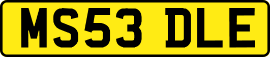 MS53DLE
