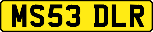 MS53DLR