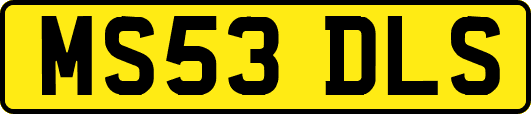 MS53DLS