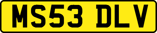 MS53DLV