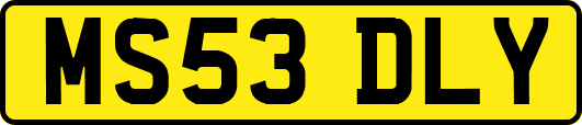 MS53DLY