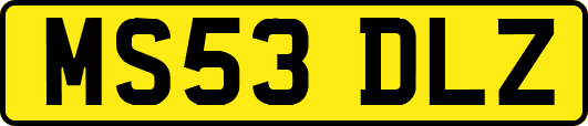 MS53DLZ