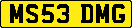 MS53DMG