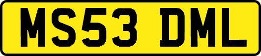 MS53DML