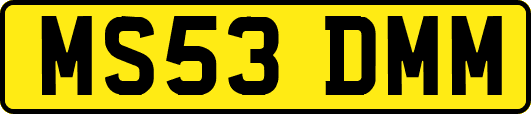 MS53DMM