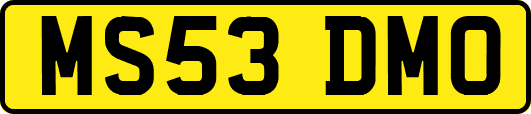 MS53DMO