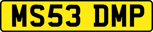 MS53DMP