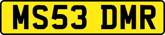 MS53DMR