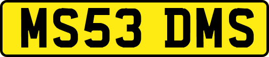 MS53DMS