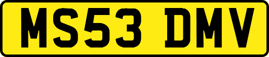 MS53DMV