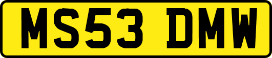 MS53DMW