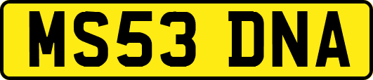 MS53DNA
