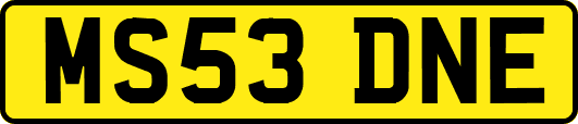 MS53DNE