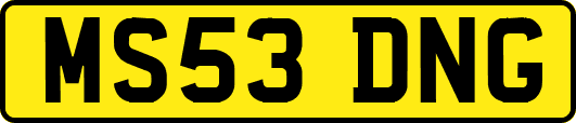 MS53DNG