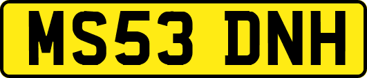MS53DNH