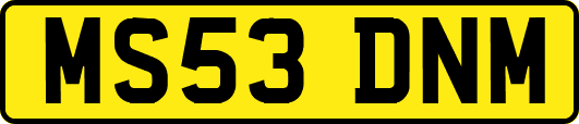 MS53DNM