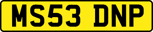 MS53DNP