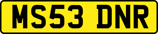 MS53DNR