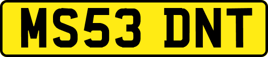 MS53DNT