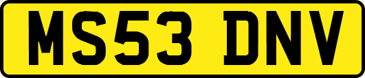 MS53DNV