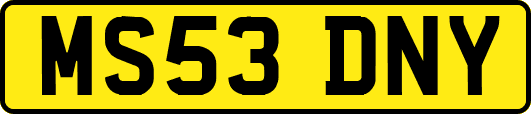 MS53DNY