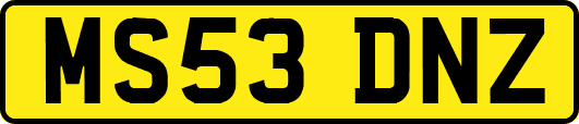 MS53DNZ