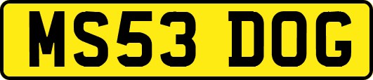 MS53DOG