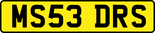 MS53DRS