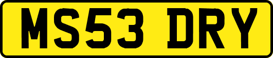 MS53DRY