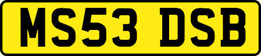 MS53DSB