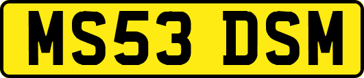 MS53DSM