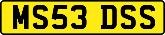 MS53DSS