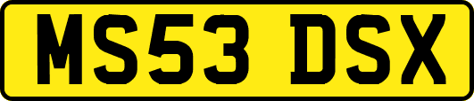 MS53DSX