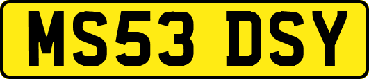 MS53DSY