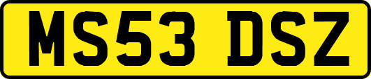 MS53DSZ