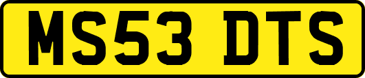 MS53DTS