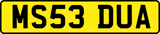 MS53DUA