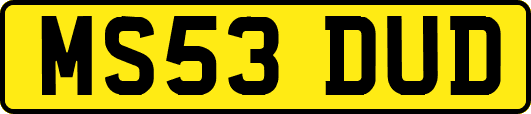 MS53DUD
