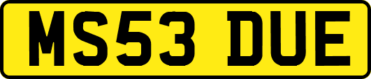 MS53DUE