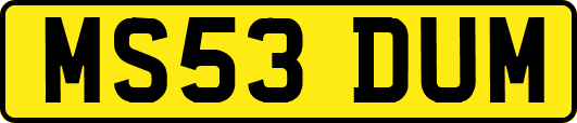 MS53DUM