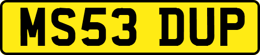 MS53DUP