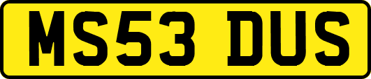 MS53DUS