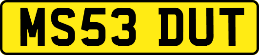 MS53DUT