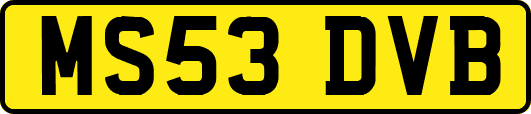 MS53DVB