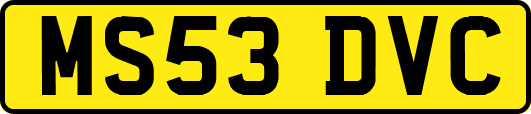 MS53DVC