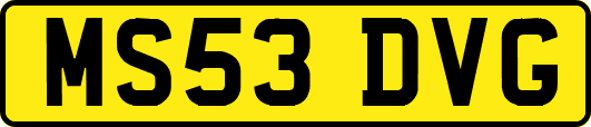 MS53DVG