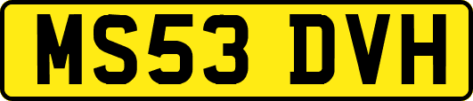 MS53DVH