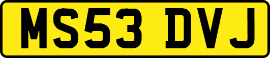 MS53DVJ
