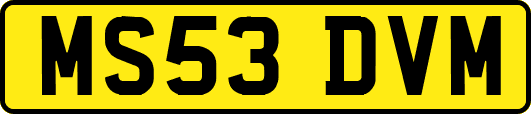 MS53DVM