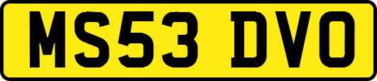 MS53DVO